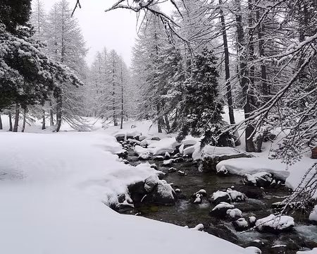 PXL050 Le long du ruisseau de Sanguinière (photo sans figurantes).