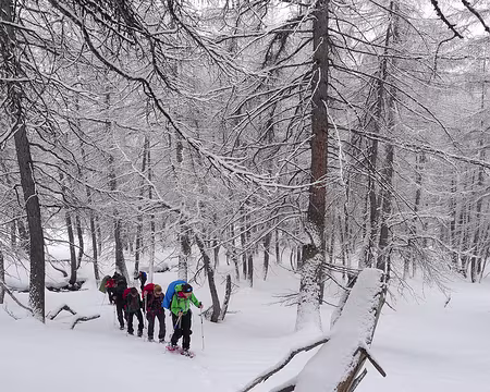 PXL056 ... puis s'élèvent...