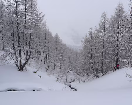 PXL057 ... le long du ravin.