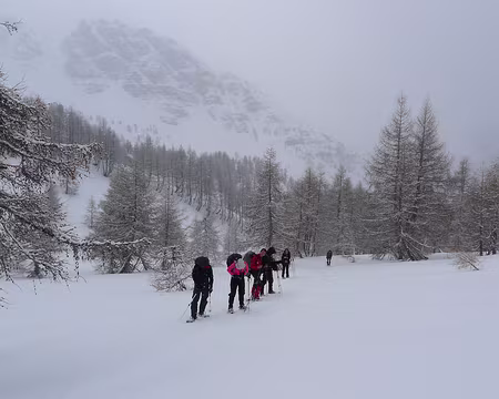 PXL058 Sortie de la forêt.