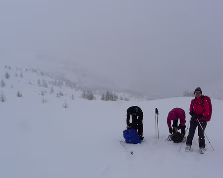 PXL063 Petite chute de neige passagère...
