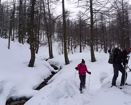 PXL067 ... pleine de pièges (trous, ruisseaux, ...