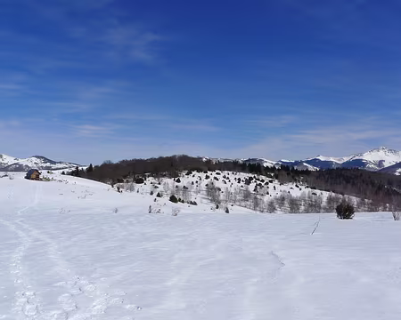 PXL002 La Jasse de Gireys.