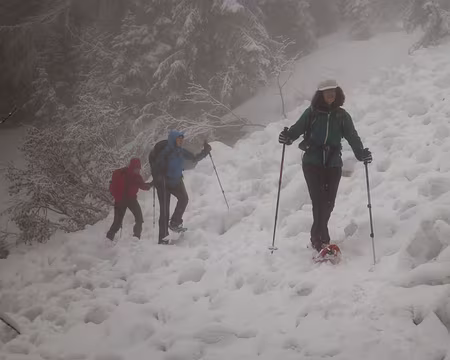 PXL030 Ambiance, ambiance.