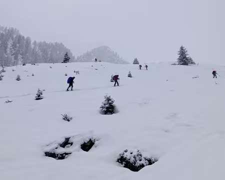 PXL034 Montée à l'alpage de Fenestral