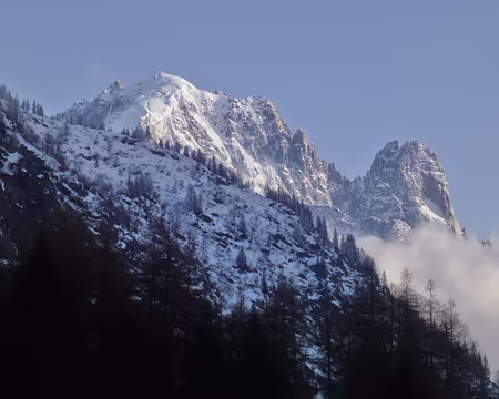 PXL064 La verte et le Dru