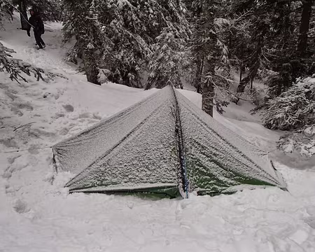 PXL012 Celle de Renaud