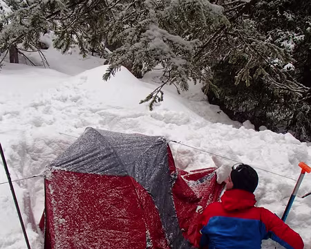 PXL013 celle de Colin