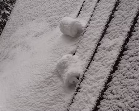 PXL015 neige roulée sur le toit de la cabane
