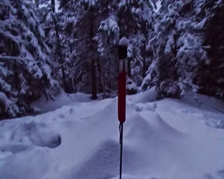 PXL022 il est tombé environ 15cm de neige et, après dîner, la sonde facilite la localisation du trou à neige ;)