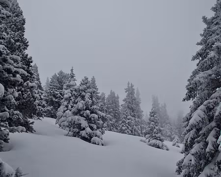 PXL027 ce matin, nous partons avec les DVA allumés pour traverser ce secteur sauvage et accidenté entre la Combe de Fer et Serre du Play