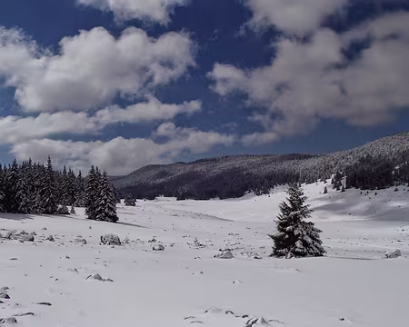 PXL079 la prairie de Darbounouse