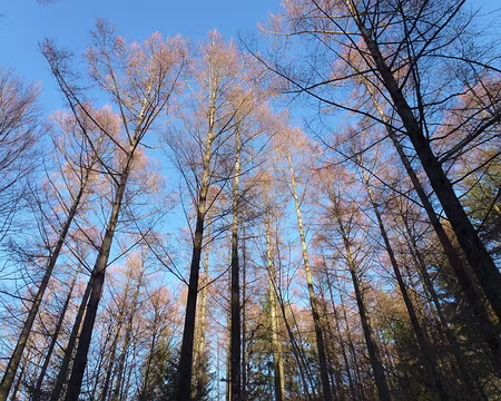 PXL002 Très vite, nous avons chaussé les raquettes