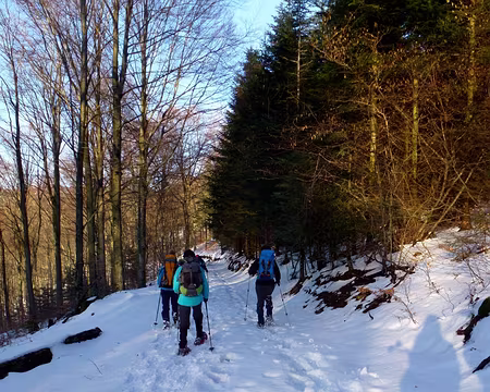 PXL005 Les ombres s'allongent