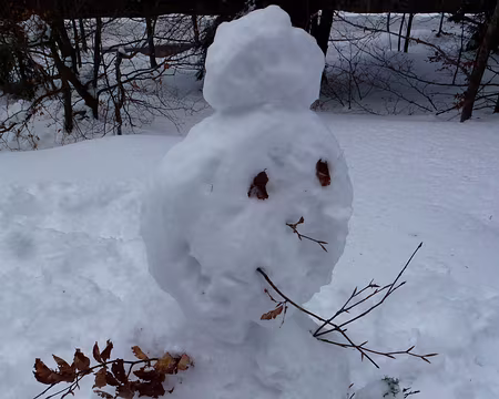 PXL036 Notre premier bonhomme de neige, nous revenons vers la civilisation...