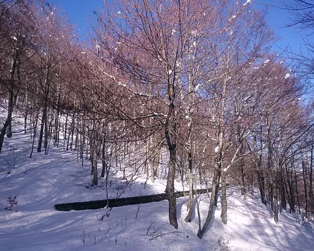 2016 - Italie (131) Retour du soleil