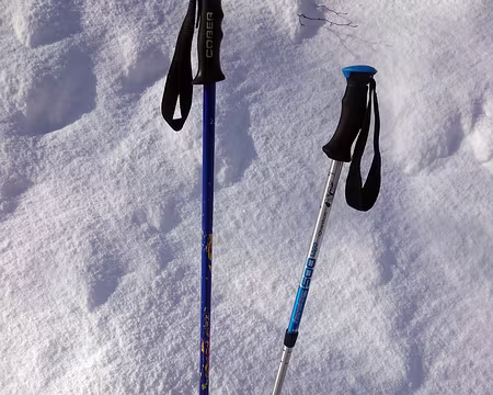 2016 - Italie (163) Bâtons dépareillés à cause d'un Labrador farceur qui a joué avec alors qu'il neigeait abondamment...Impossible à retrouver!