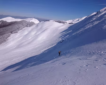 2016 - Italie (171) Par ici ...