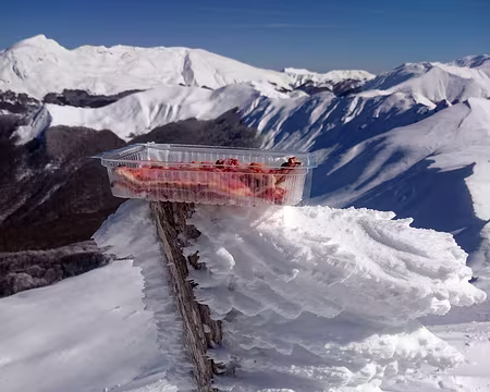 2016 - Italie (181) Pizza au sommet même les italiens en restent ba.ba!