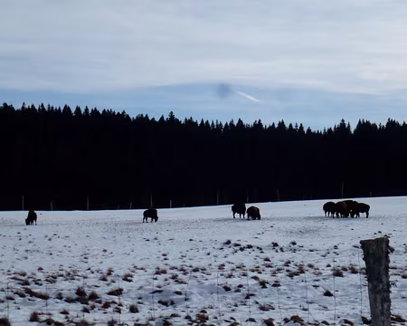 PXL001 De l'Embossieux au