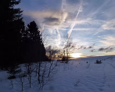 PXL020 commence à faire son effet