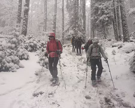 PXL034 nous surprennent