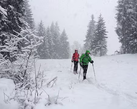 PXL035 agréablement dès 10H