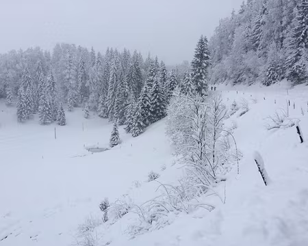 PXL036 Il neige pendant 3 heures