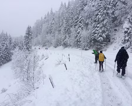 PXL037 sans discontinuer