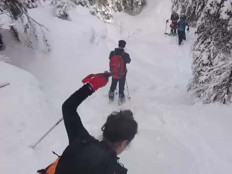 2016-02 Plateau des Glières