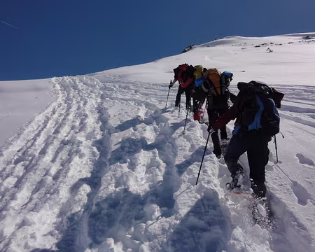 041 Traversée de « Casse Pinière »