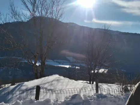 Odile Odile DP, détail sortie