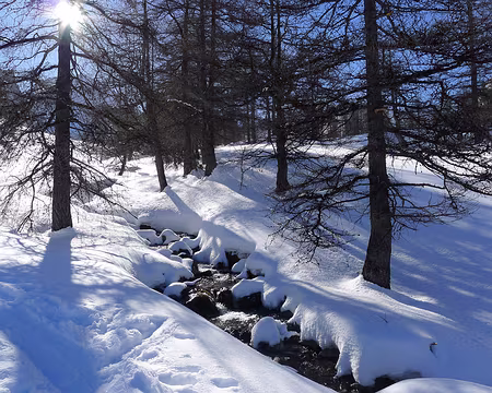 12 Lumière matinale.