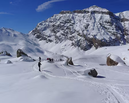 18 De la chantilly dans le vallon des Aounets.