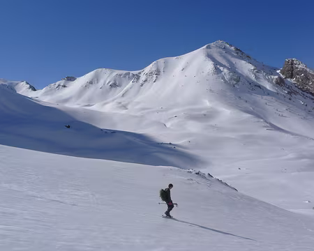 28 Dans les alpages du Vallonnet.