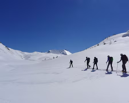 40 Trichromie blanc-bleu-noir.