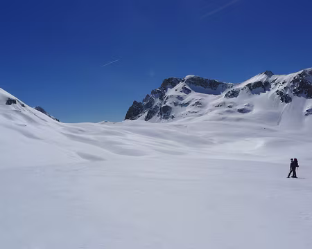 43 C'est beau, non ?