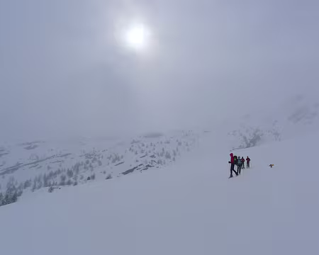 70 Dans le vallon du Lauzanier, toujours.