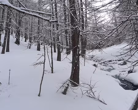 84 La pente s'adoucit...