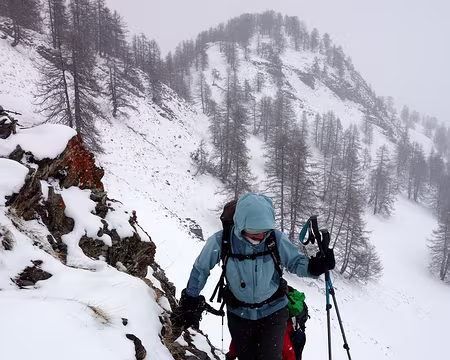 86 ... puis se raidit de nouveau.