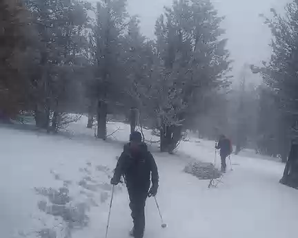 2018-01-01 14.16.13 neige et brouillard sont au programme. Nous marchons vers le mont Mezenc.