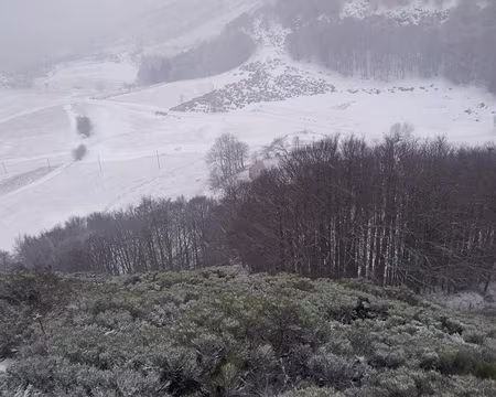 2018-01-01 16.00.33 un champ de genets particulièrement abrupt et difficile à franchir.