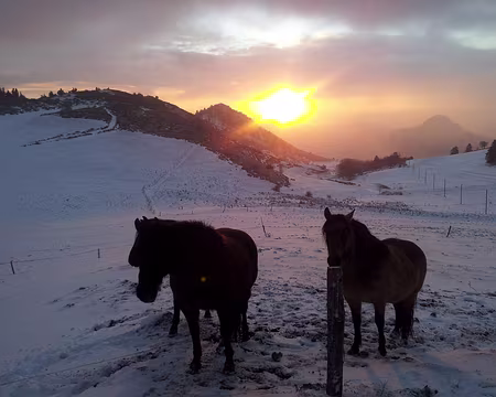 2018-01-02 08.26.23 un lever de soleil sur les sucs.