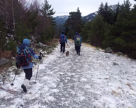 2018-01-02 10.48.27 nous marchons sur des sentiers verglassés