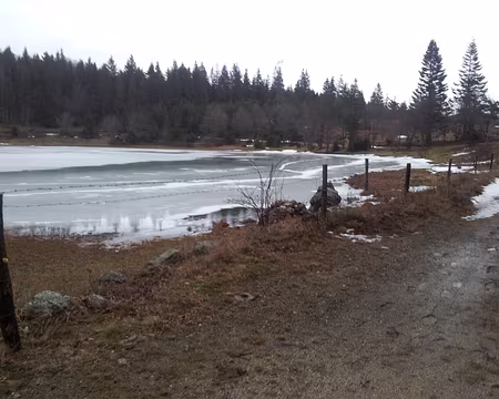 2018-01-03 16.21.08 un lac gelé entouré de sapins
