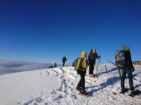 Carole Carole B, détail sortie