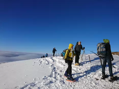 Carole Carole B, détail sortie