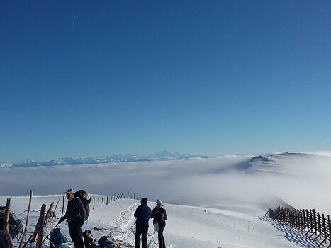 Nathalie Nathalie J, détail sortie