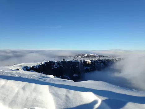 Cécile Cécile R, détail sortie