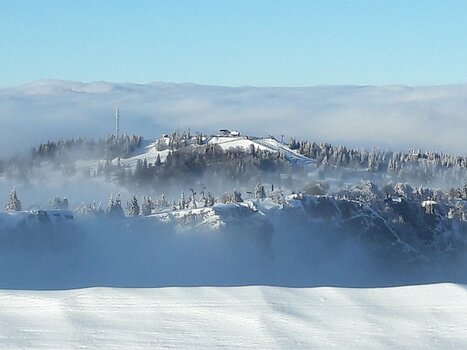 Lucie Lucie K, détail sortie